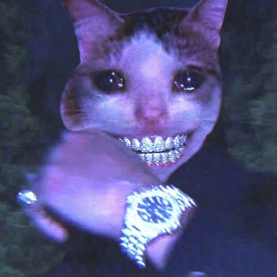 OK Cat 4